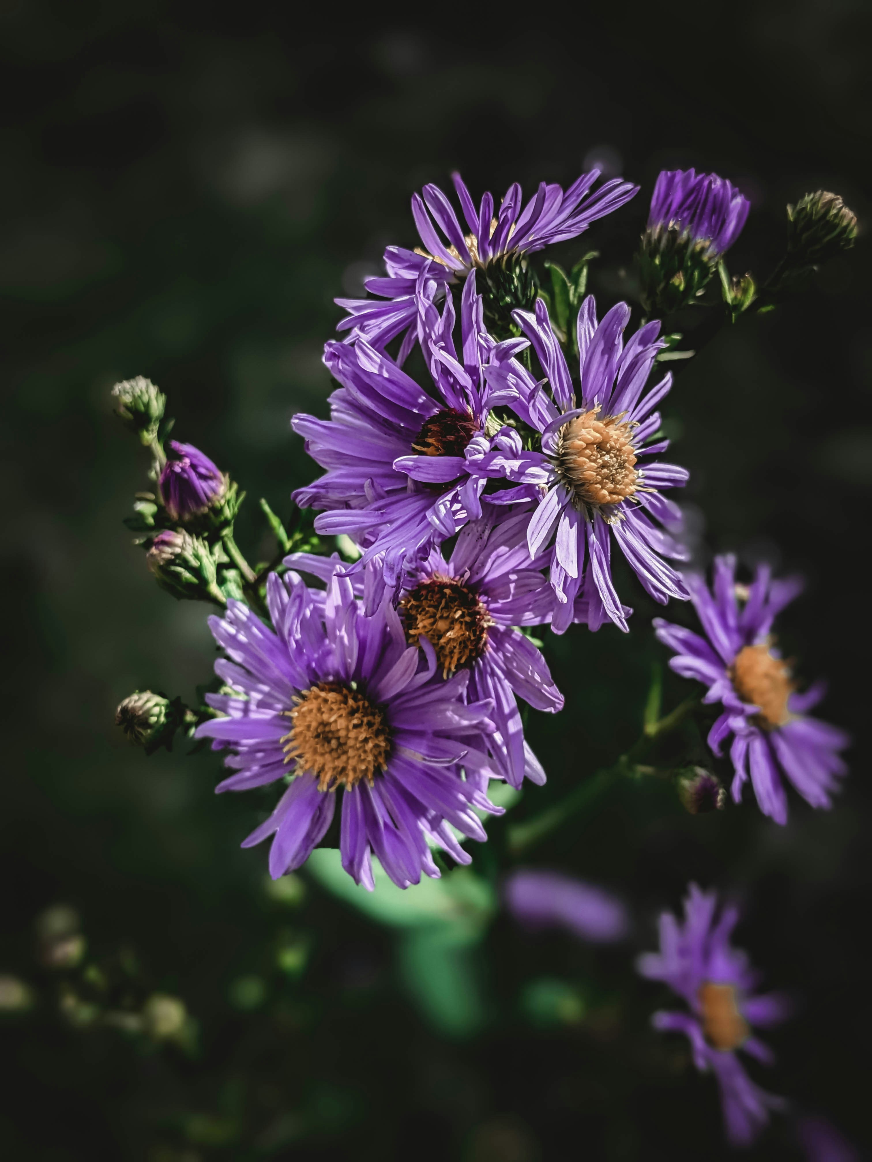 Photo by tshewe_rhakho