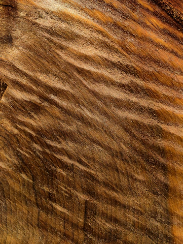 Close-up of rich oak wood grain with soft cream and forest green accents highlighting natural textures.