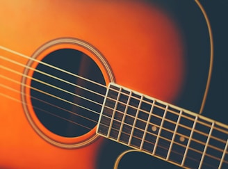 a close up of a guitar's neck and fret