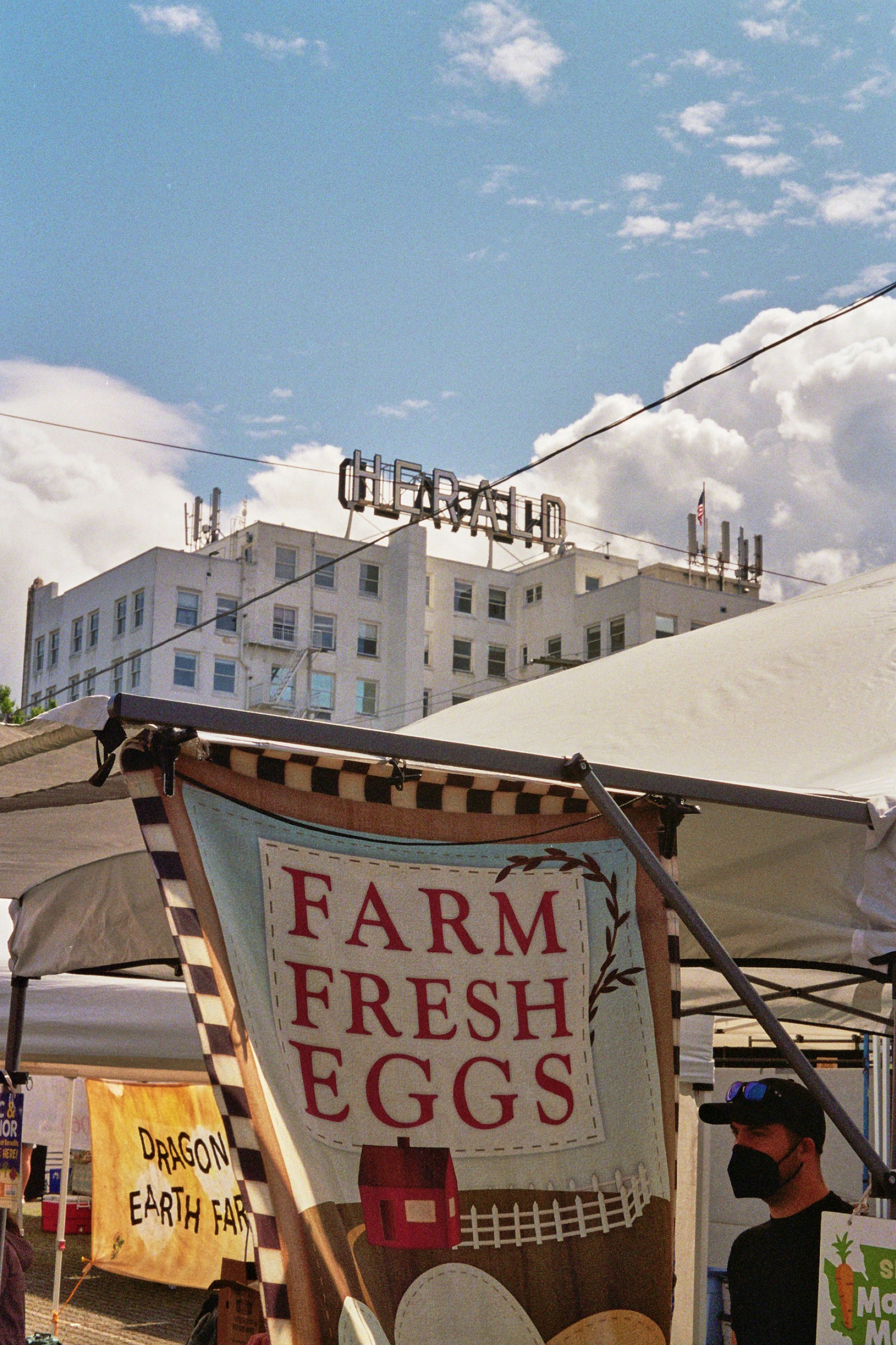 Bright airy farmers market stall with fresh produce, herbs, and handwritten price signs on a sunny day