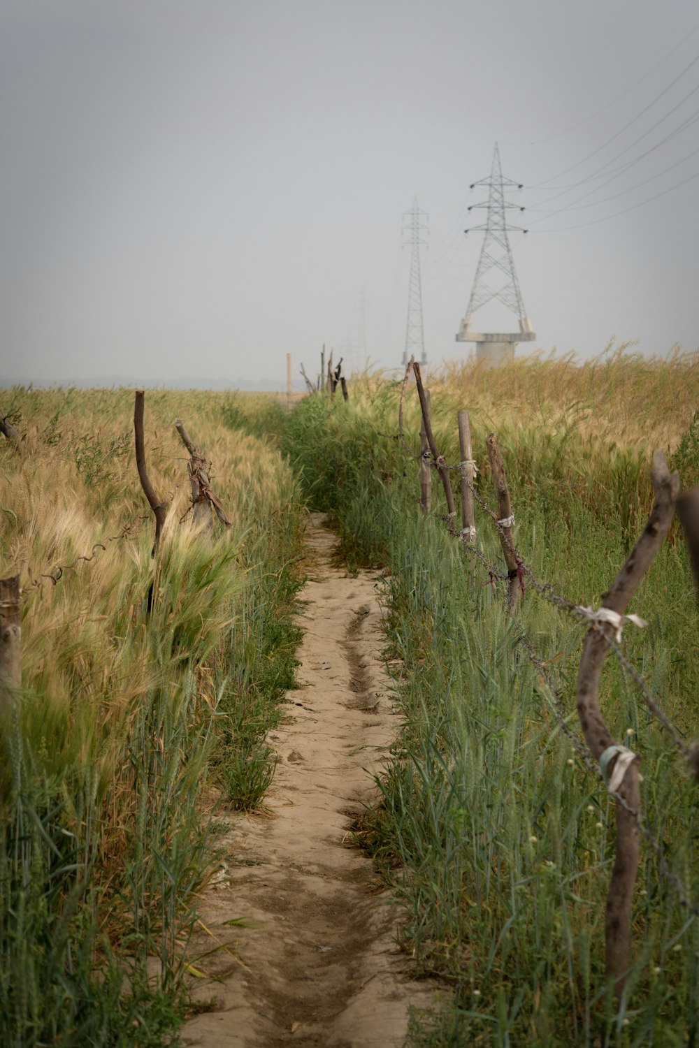 a dirt path in a field with power lines in the background