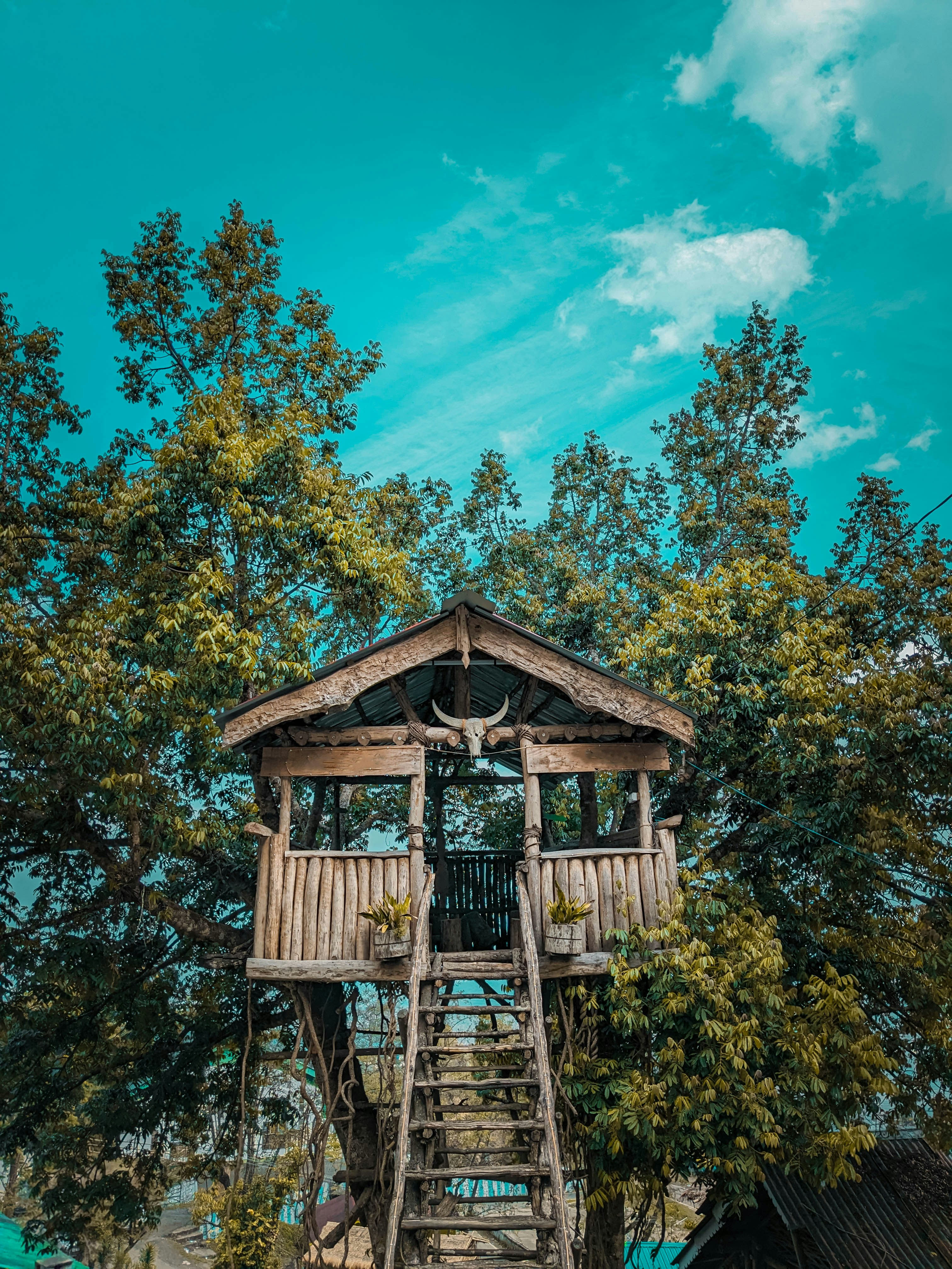 Photo by tshewe_rhakho