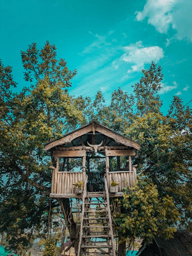a tree house with a ladder to the top of it
