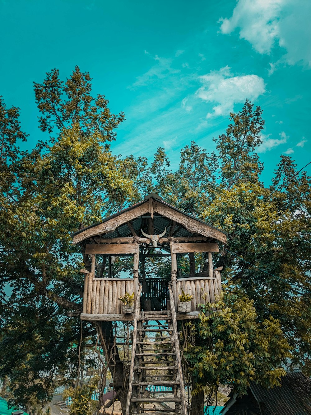 a tree house with a ladder to the top of it