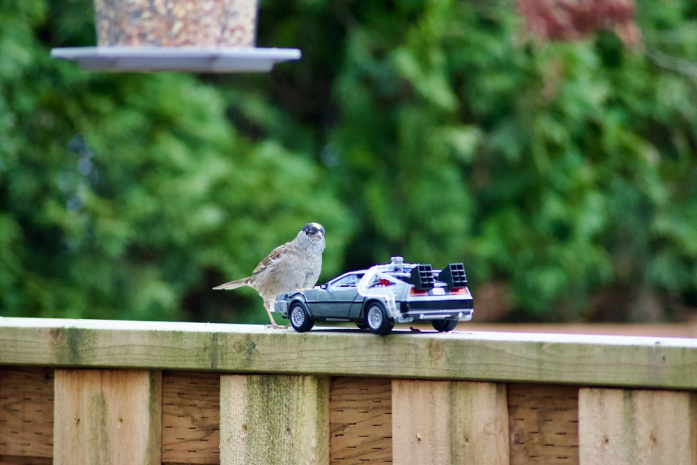 a bird is perched on a fence next to a toy car