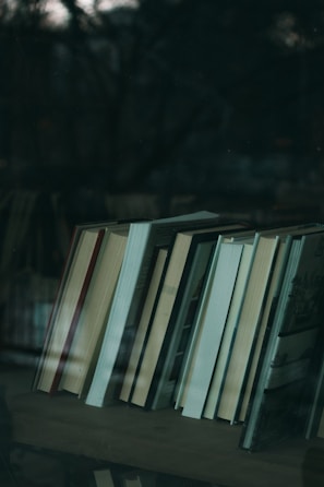A serene image of a financial book collection on a shelf.