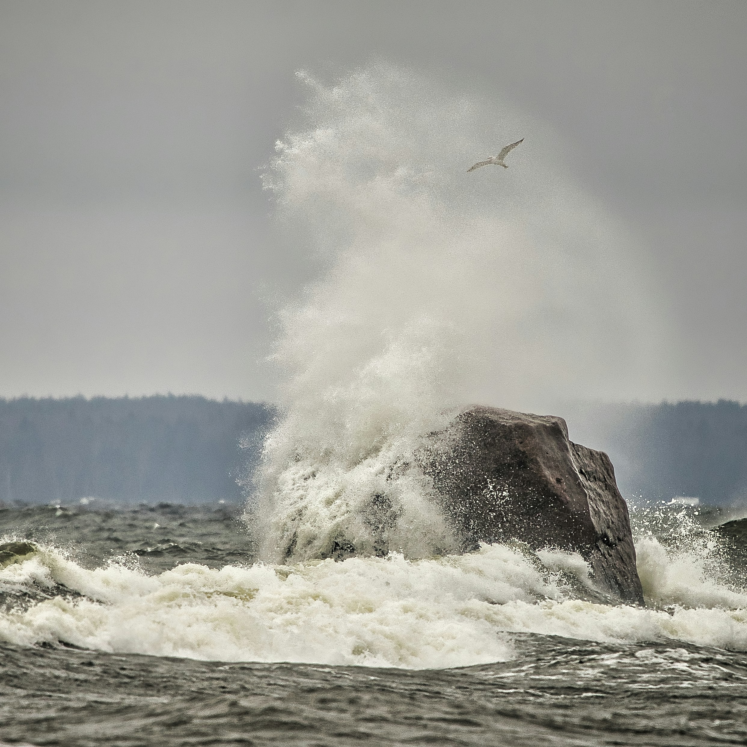 a bird flying over a large rock in the ocean