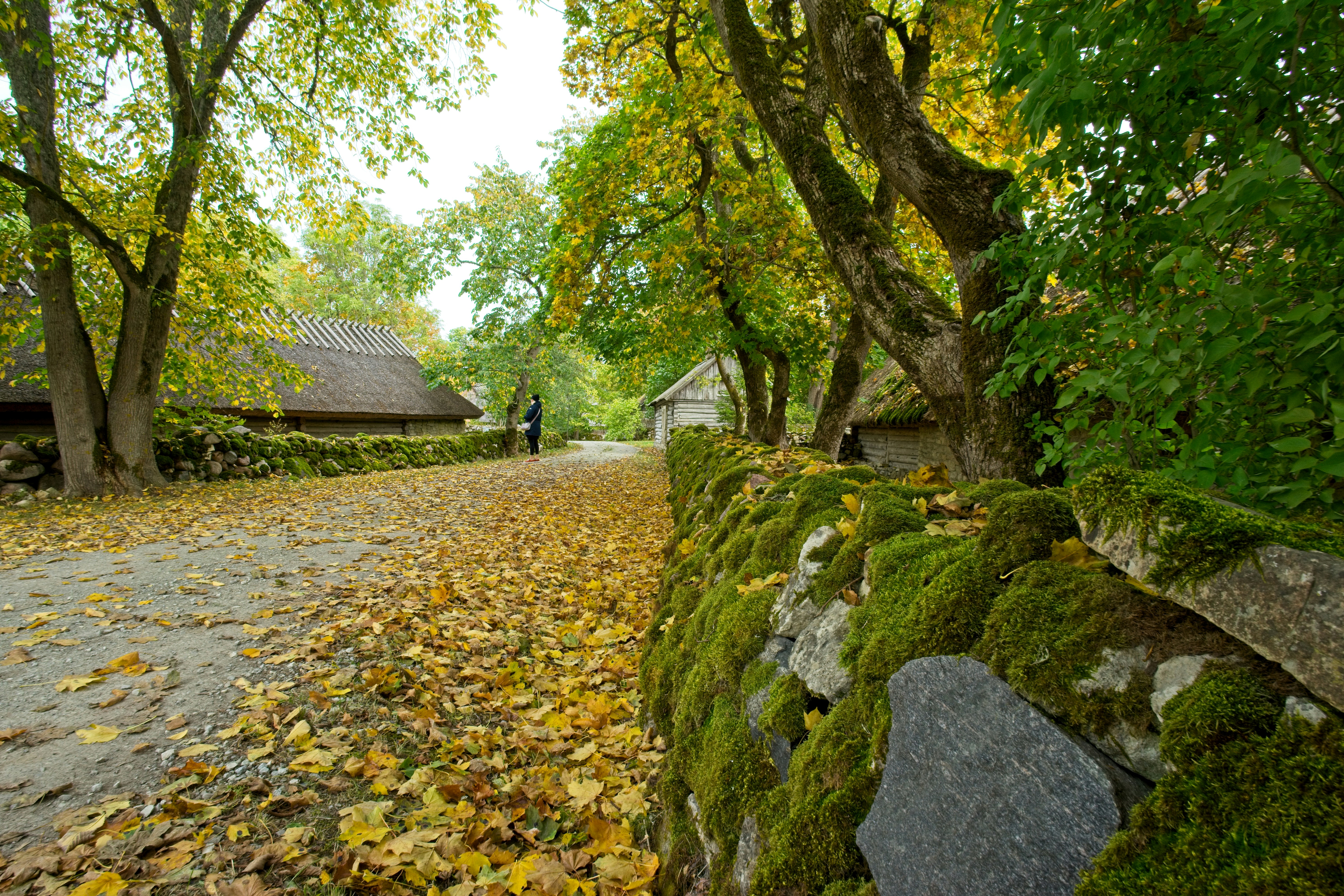 Şəkidə tarixi həyət evi