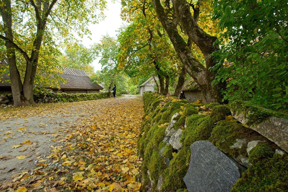 a stone wall with moss growing on it