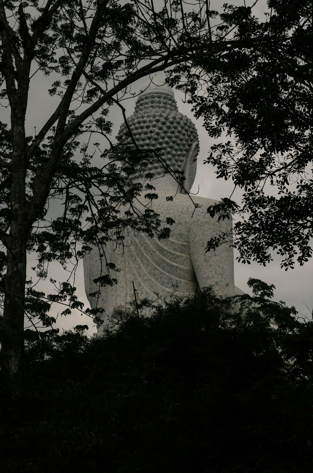 Una grande statua di Buddha seduta nel mezzo di una foresta