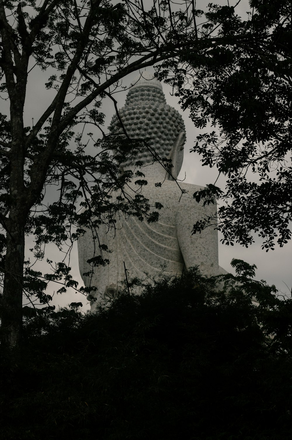 Una gran estatua de Buda sentada en medio de un bosque