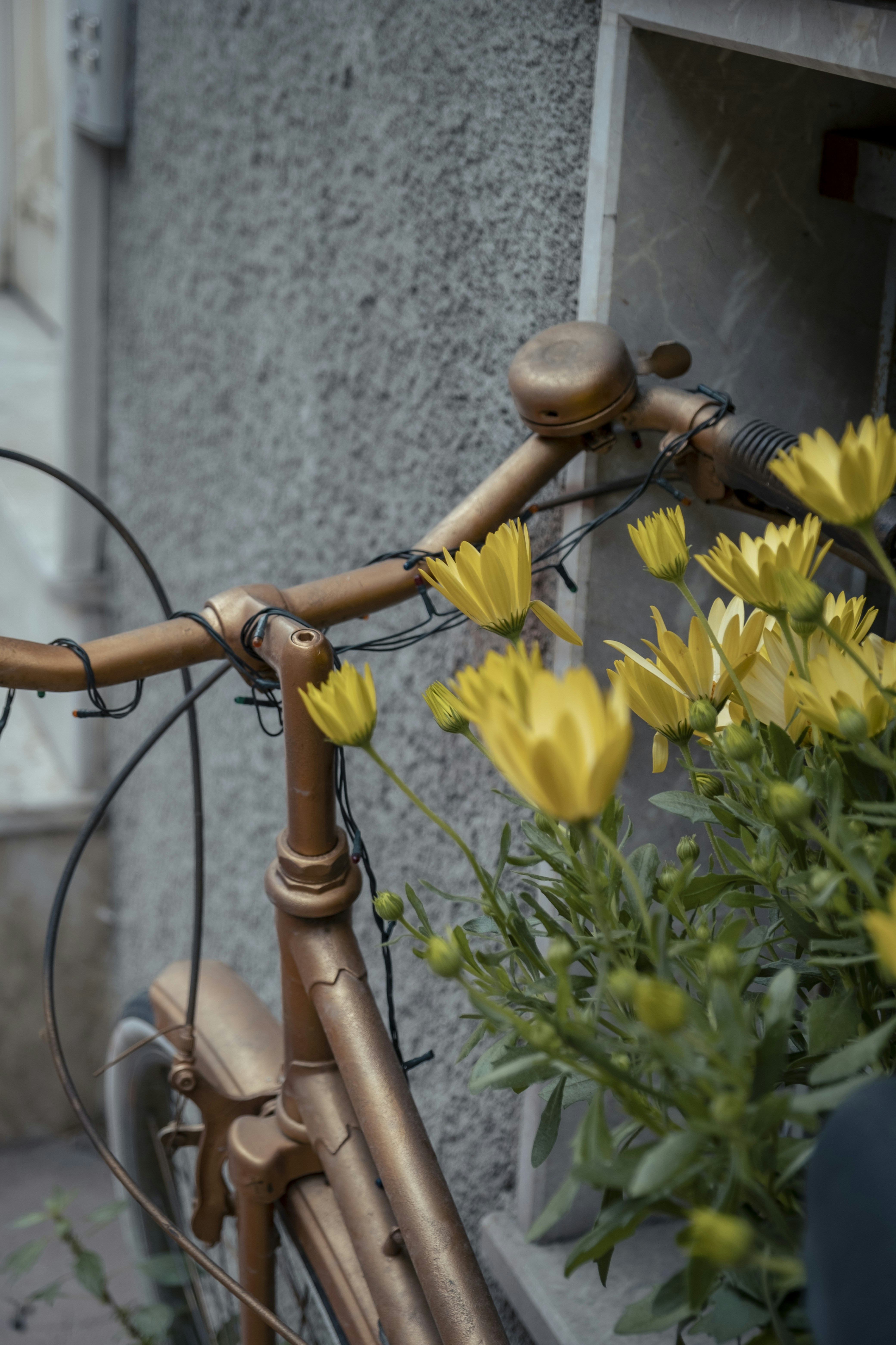 Photo by zeynepsudephoto