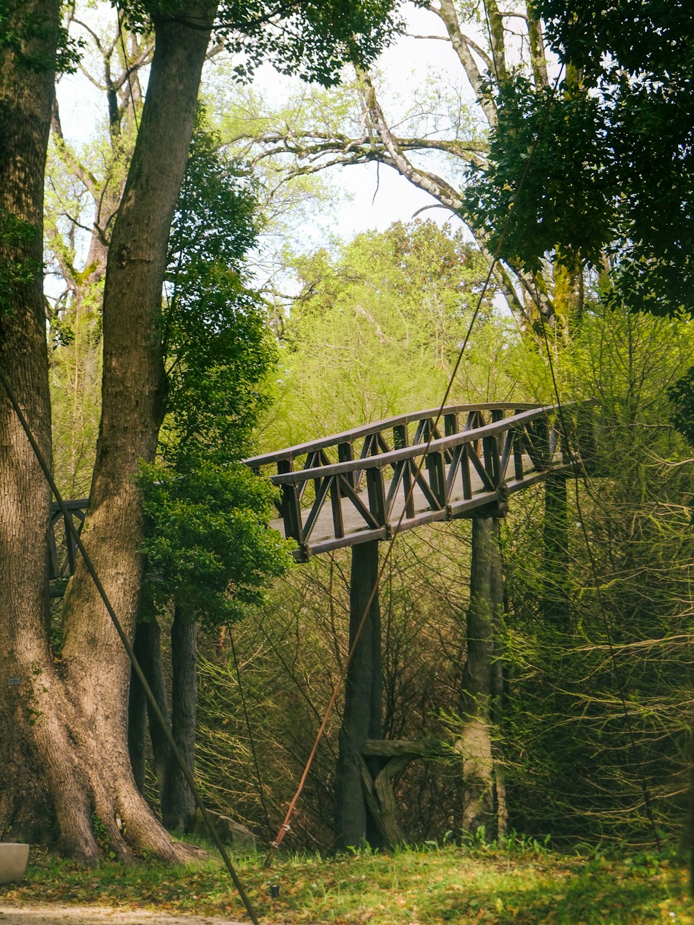 a wooden bridge in the middle of a forest