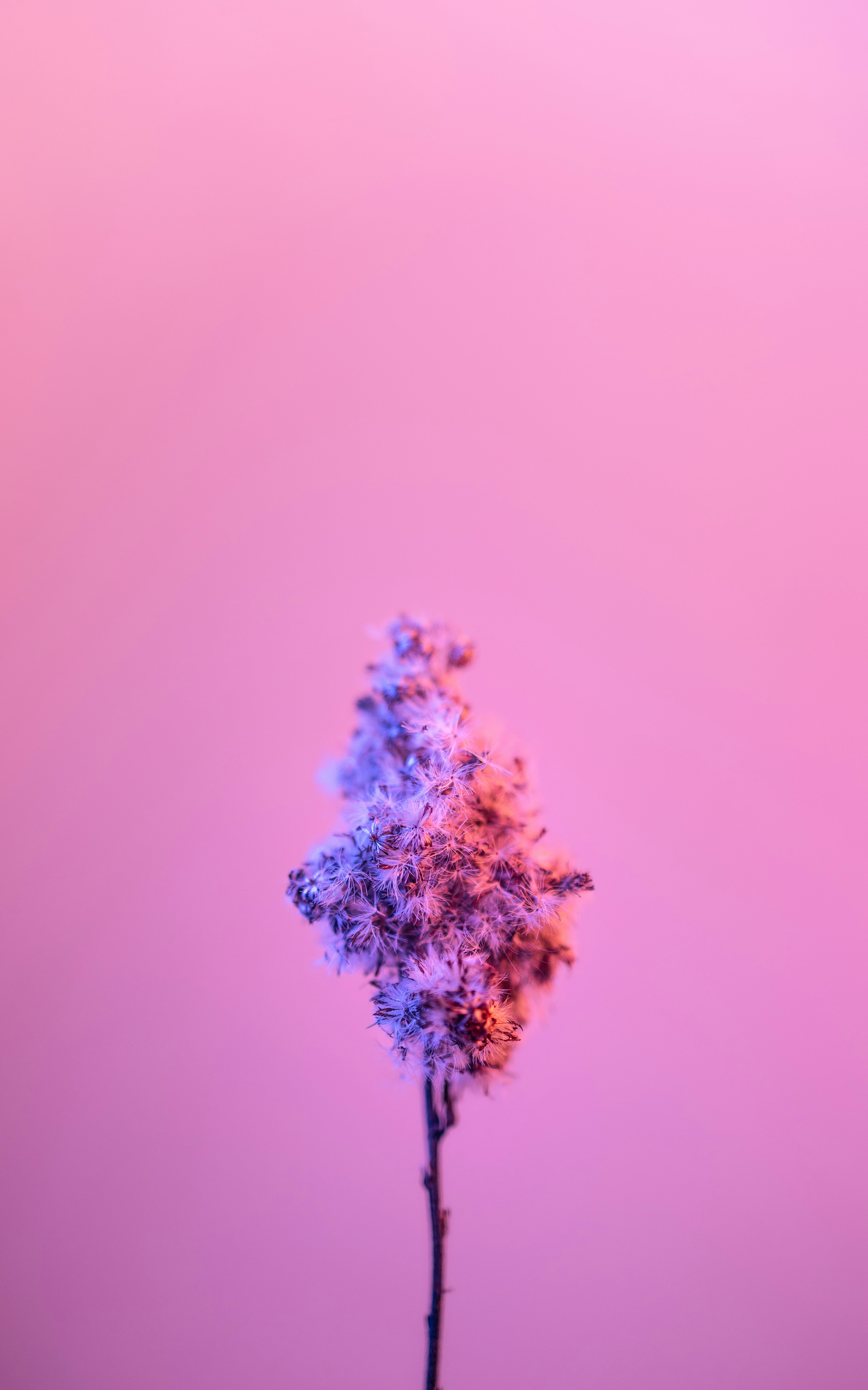 Photo by marekpiwnicki
