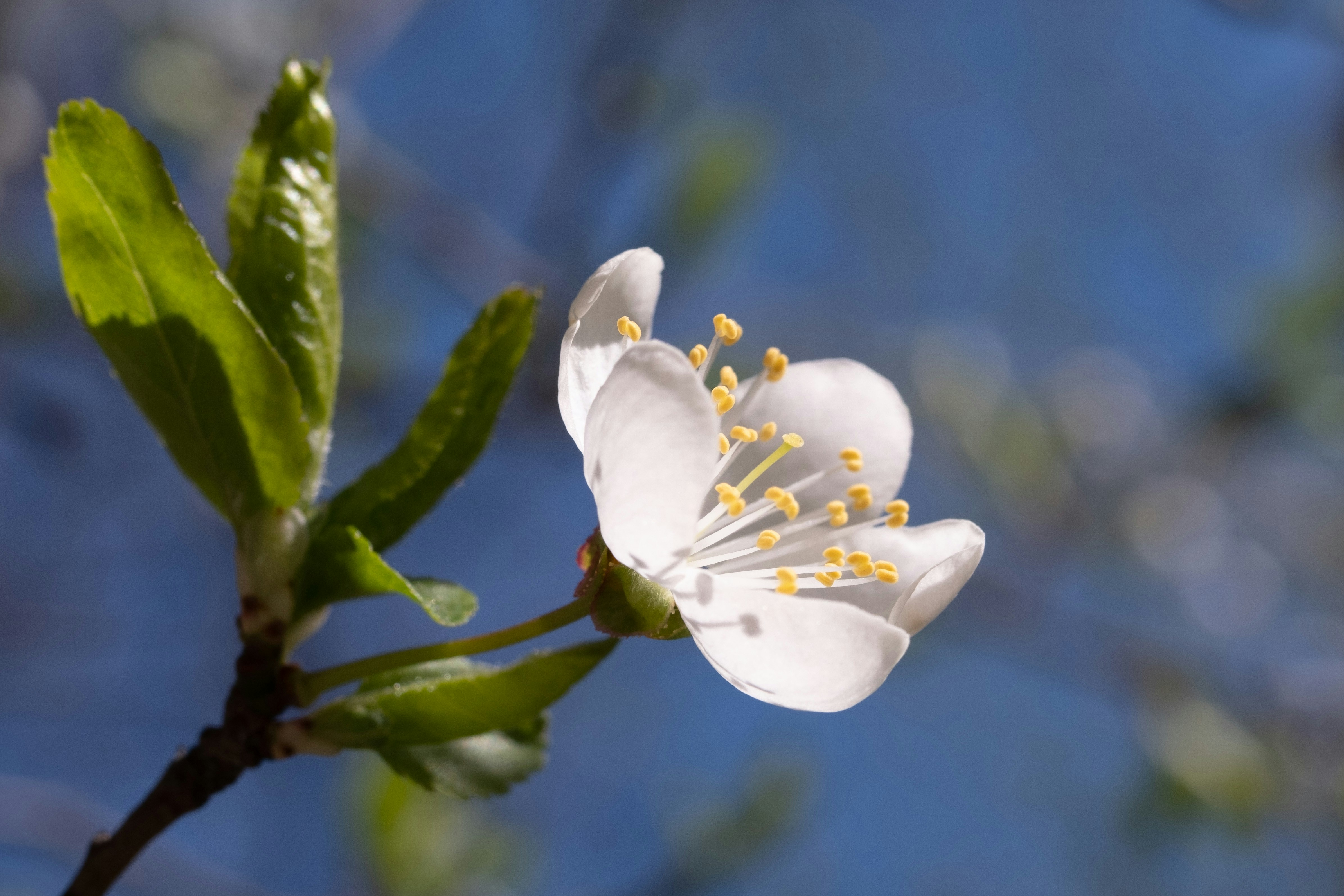 Photo by sevencolors