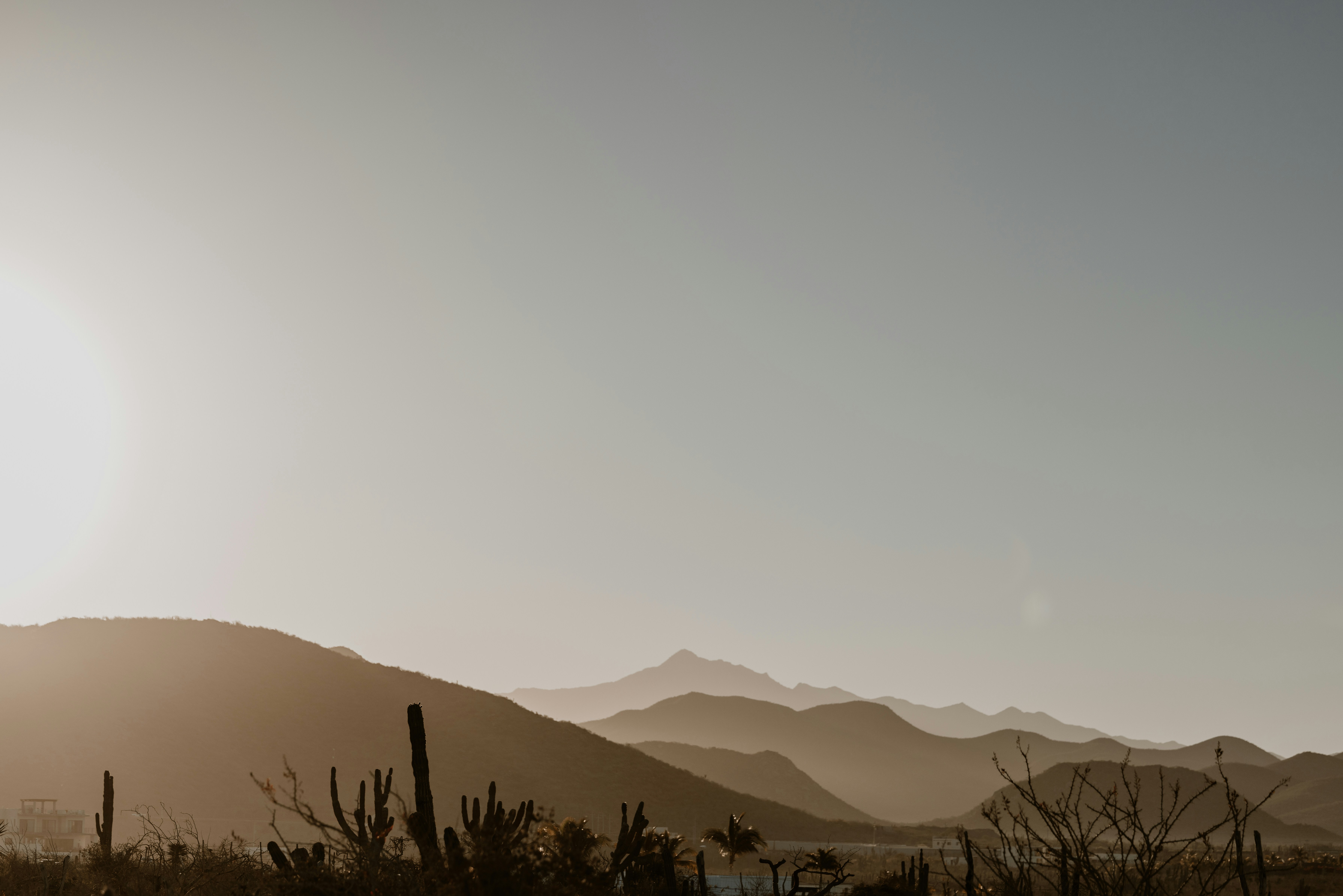 Photo by joshwithers