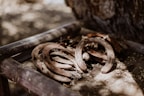 Various types of durable horseshoes displayed on a rustic wooden table