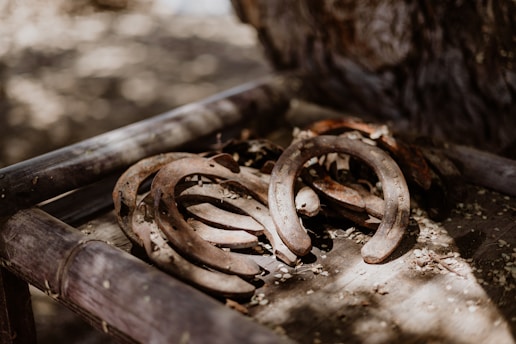 A collection of rusted horseshoes is placed on a wooden surface under dappled sunlight. The scene conveys an aged, rustic feel with the metal showing significant corrosion. Fallen leaves and dirt are scattered around, enhancing the natural and weathered appearance.