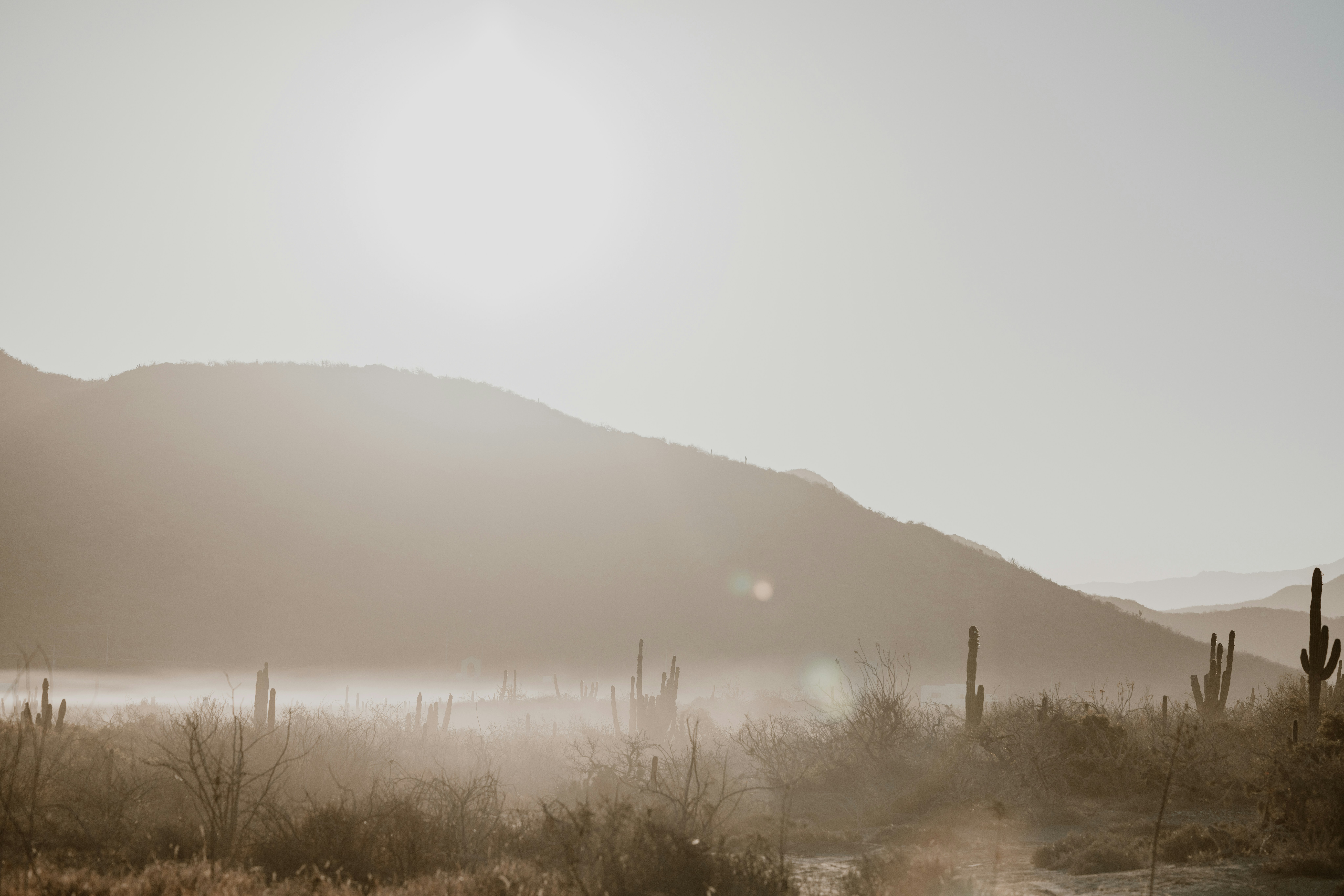 Photo by joshwithers