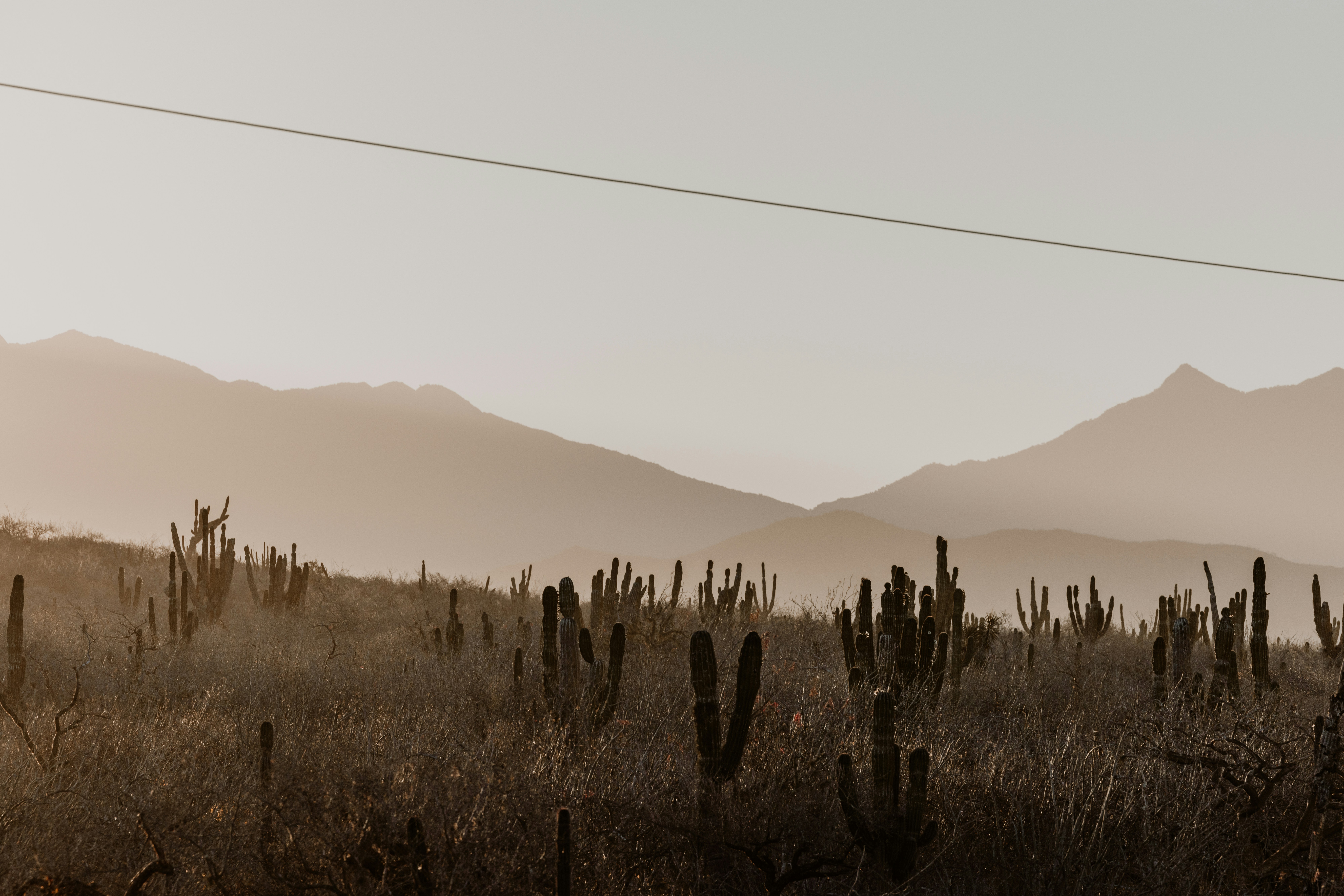 Photo by joshwithers