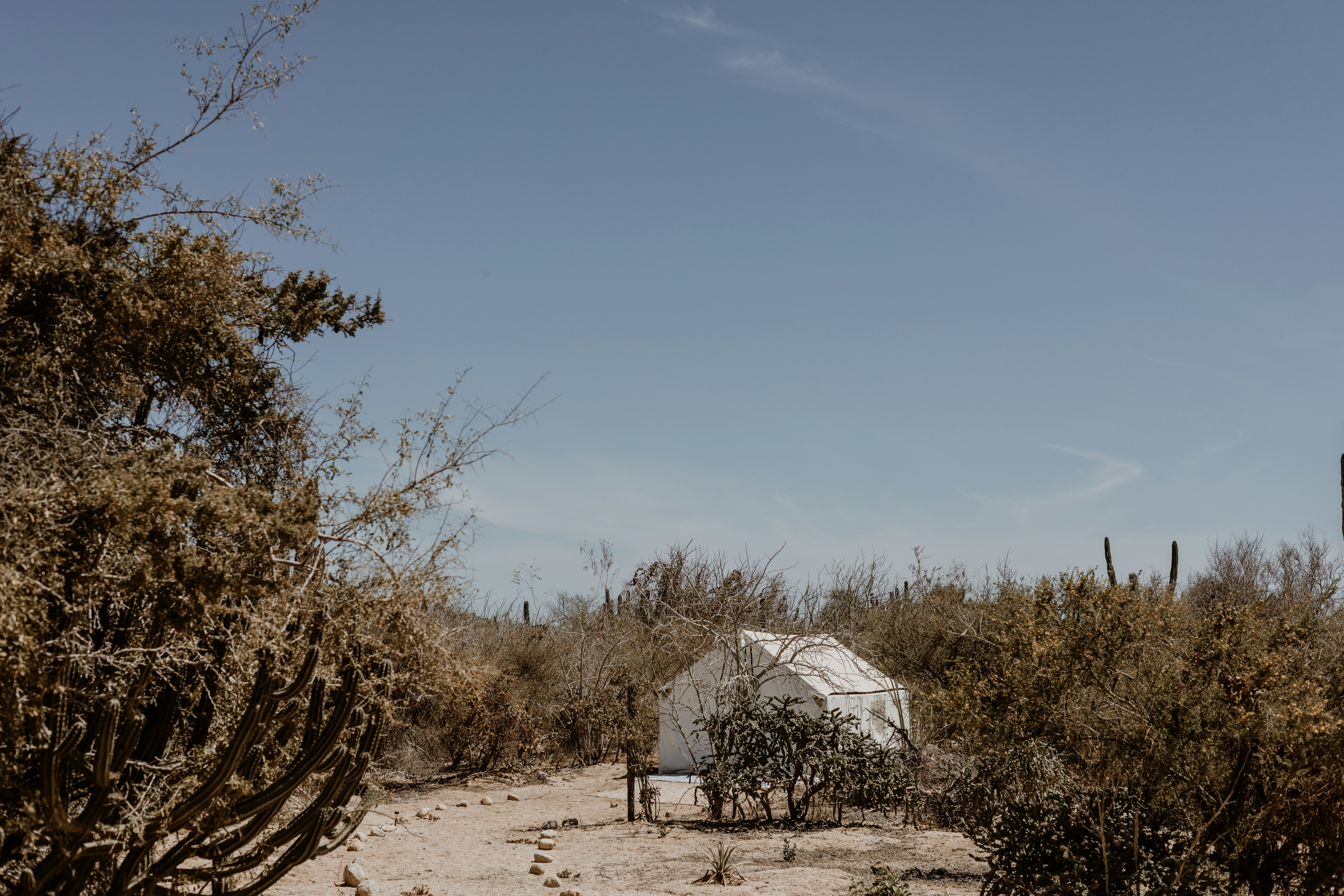 Photo by joshwithers