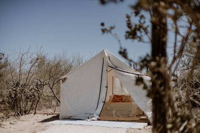 A canvas tent is set up in a dry, sparse desert environment with brush and cacti surrounding it. Inside the tent, a bed is visible with an orange and white patterned pillow. The sky above is clear and the overall setting conveys a sense of rustic outdoor living.