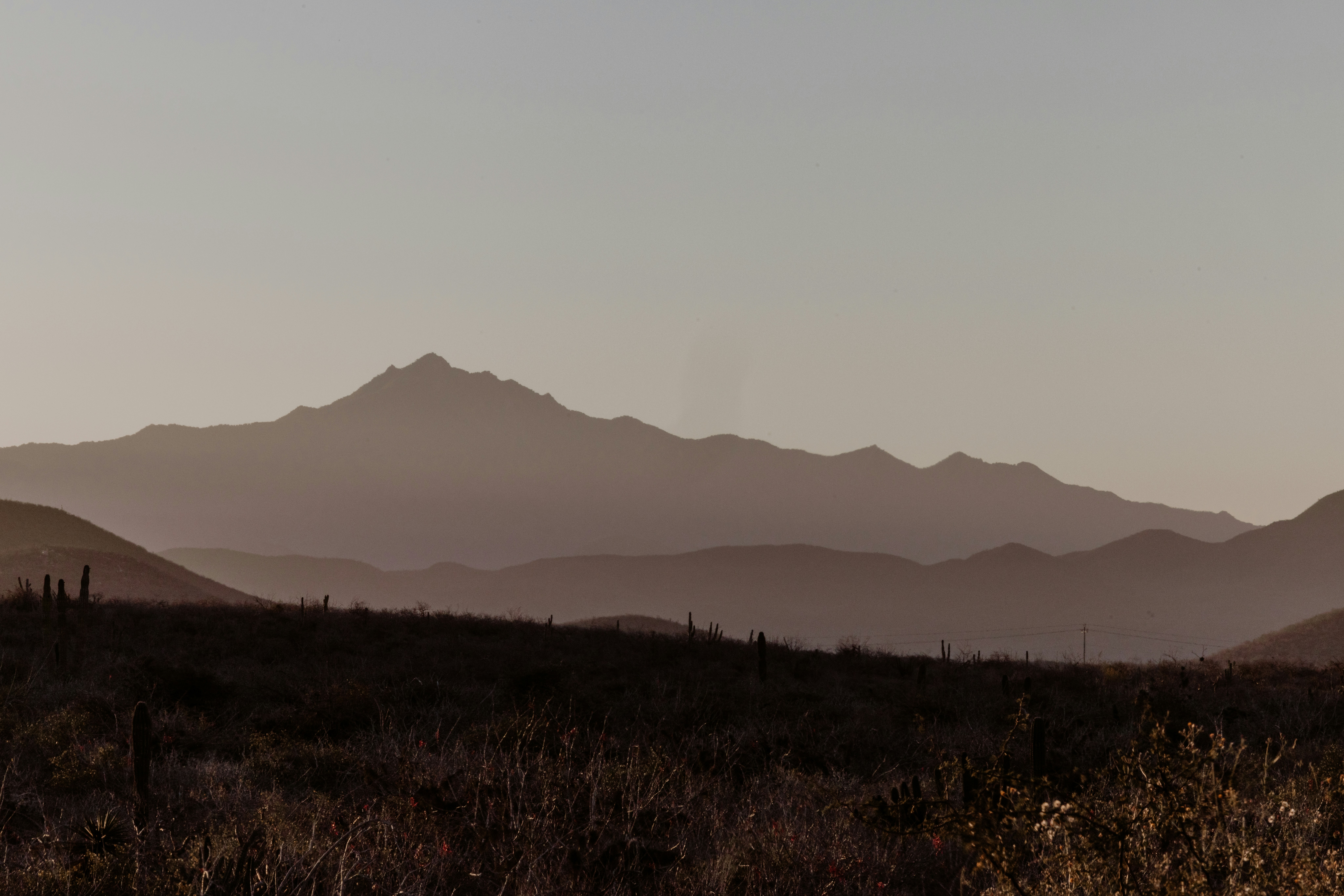 Photo by joshwithers