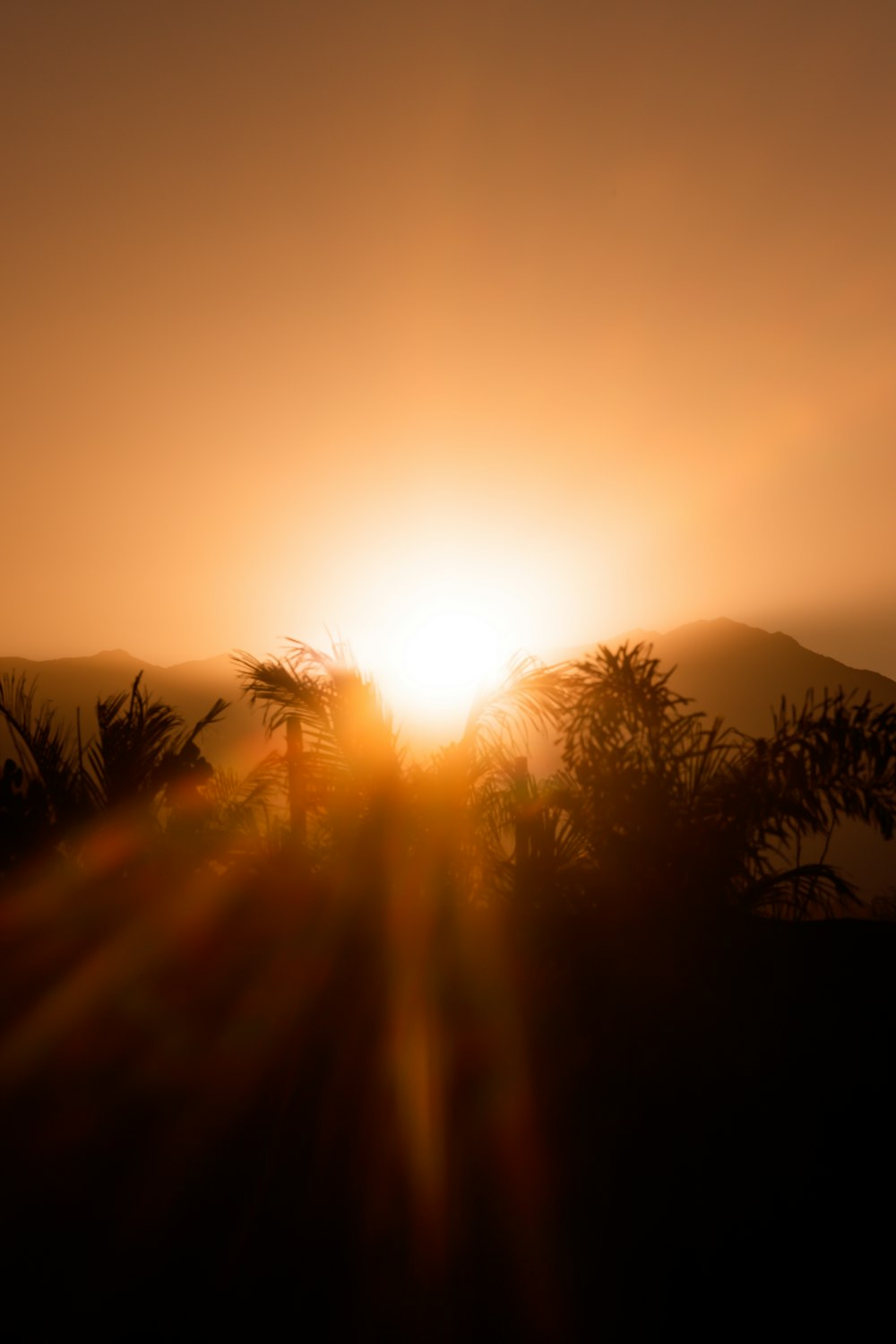 o sol está se pondo sobre uma cordilheira