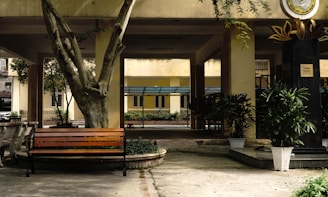 A peaceful courtyard at the trust office with potted plants and simple seating under soft natural light.
