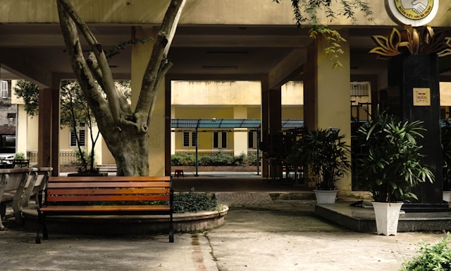 A peaceful courtyard at the trust office with potted plants and simple seating under soft natural light.