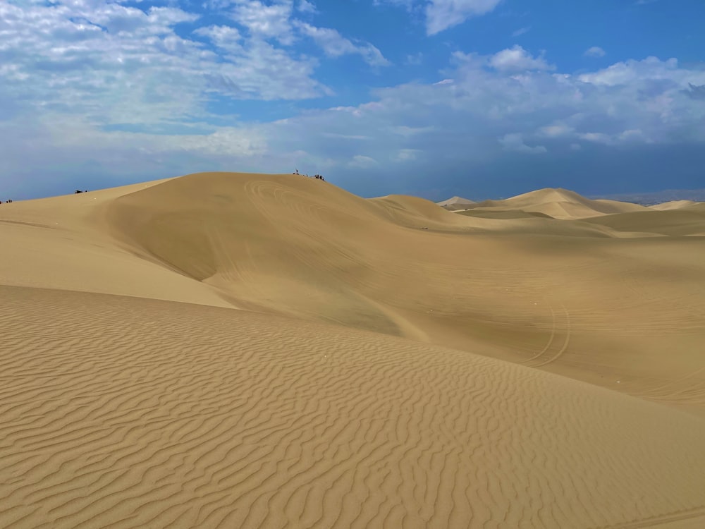 a group of people walking across a desert