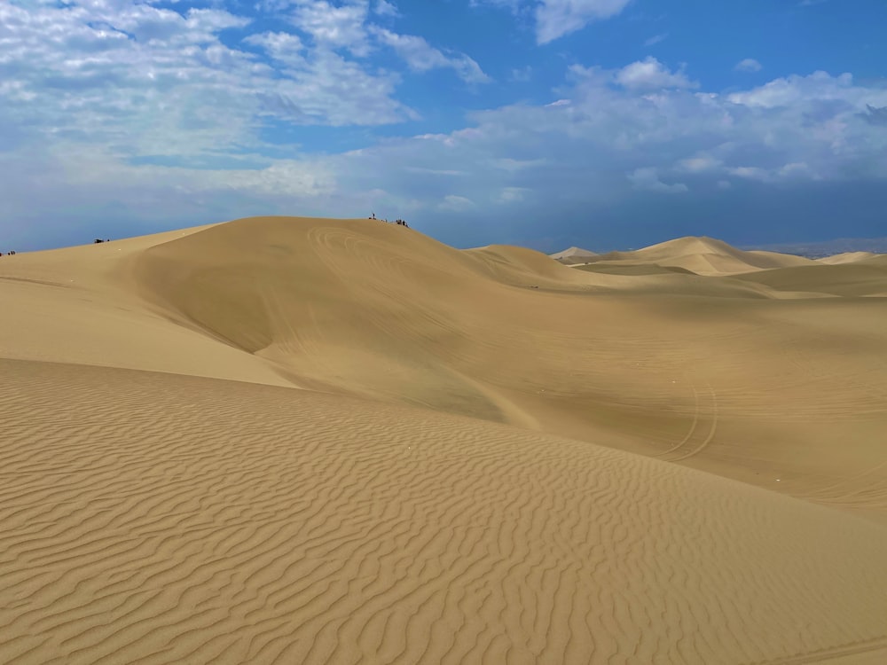 Un grupo de personas caminando por un desierto