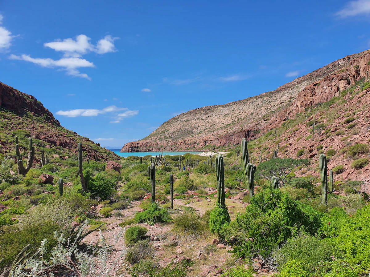 Copper Canyon in Chihuahua, Mexico