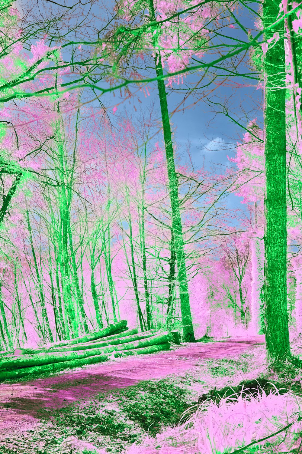 a painting of a pink and green forest