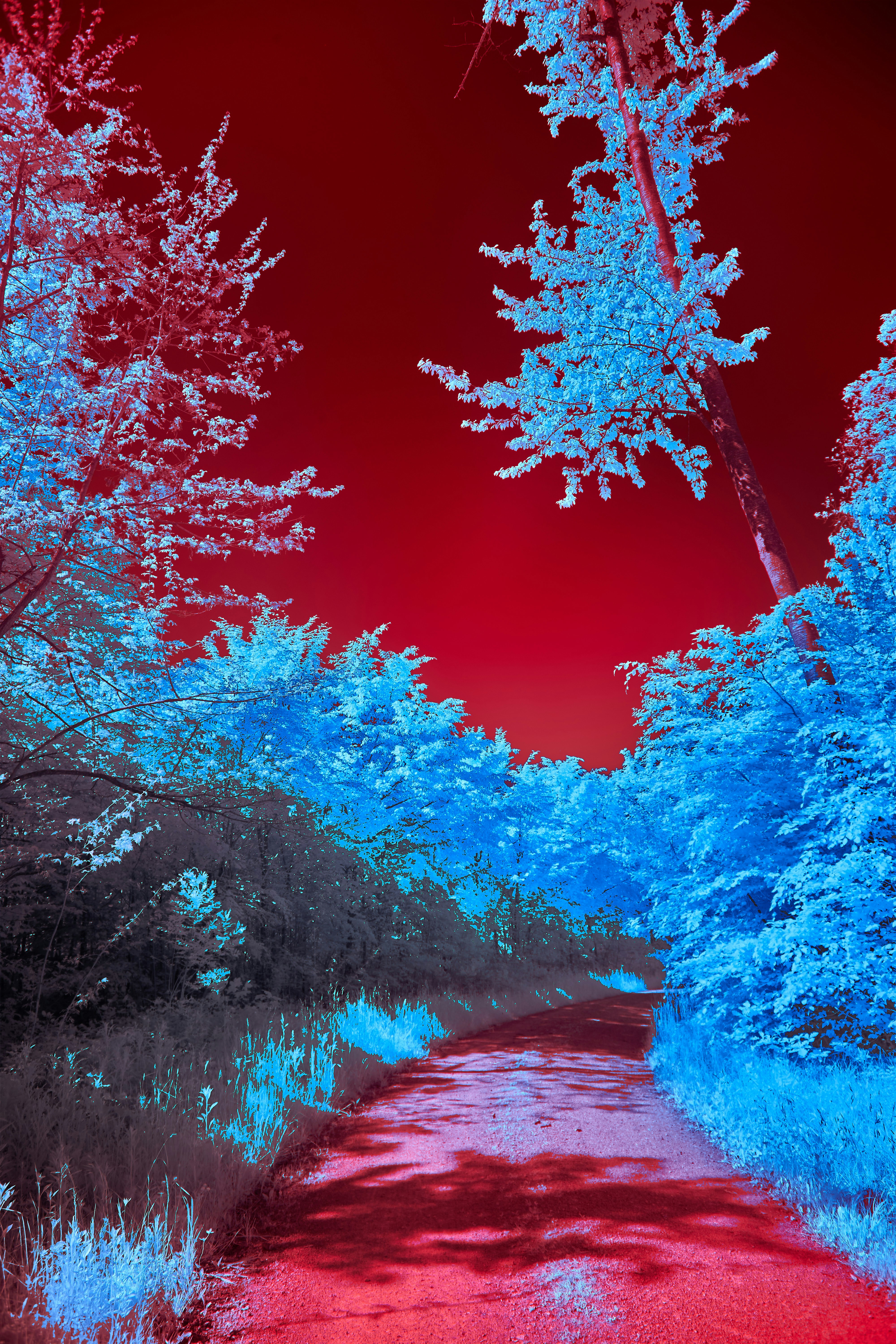 Photo by wolfgang_hasselmann