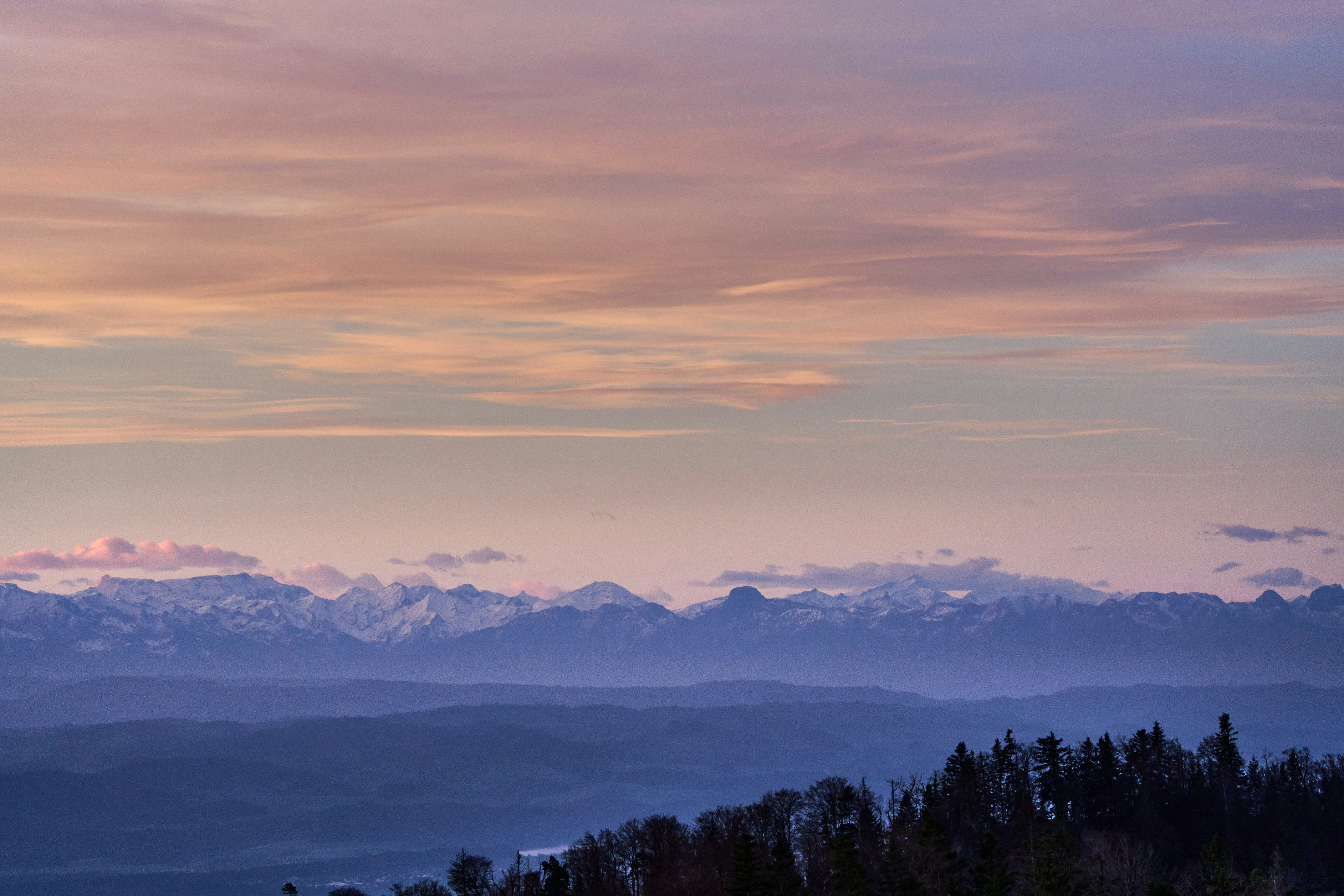 Photo by wolfgang_hasselmann