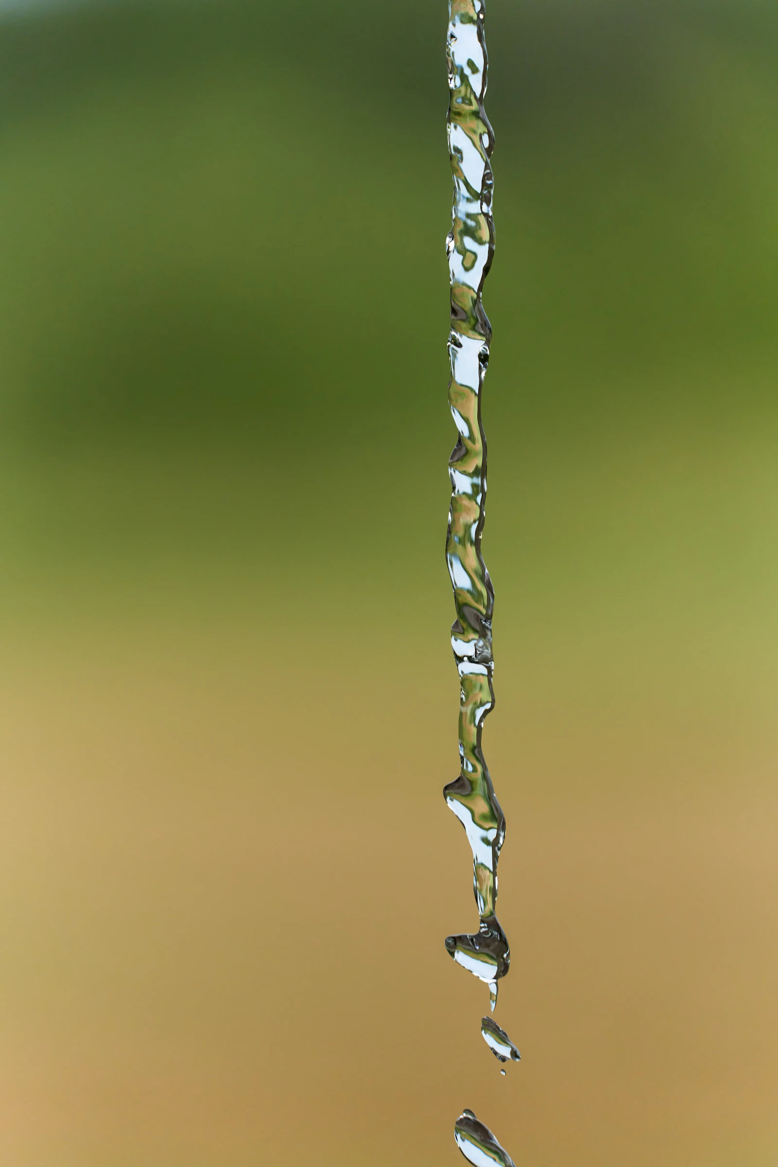 蛇口から水が滴る様子