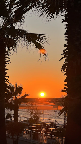 A vibrant sunset over the turquoise waters of Bayahibe beach with palm trees swaying gently.