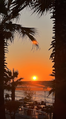 A vibrant sunset over a beach setting, framed by silhouetted palm trees. The sun is low on the horizon, casting warm orange hues across the sky and reflecting on the water. Empty tables and chairs are visible in the foreground, hinting at an outdoor seating area.