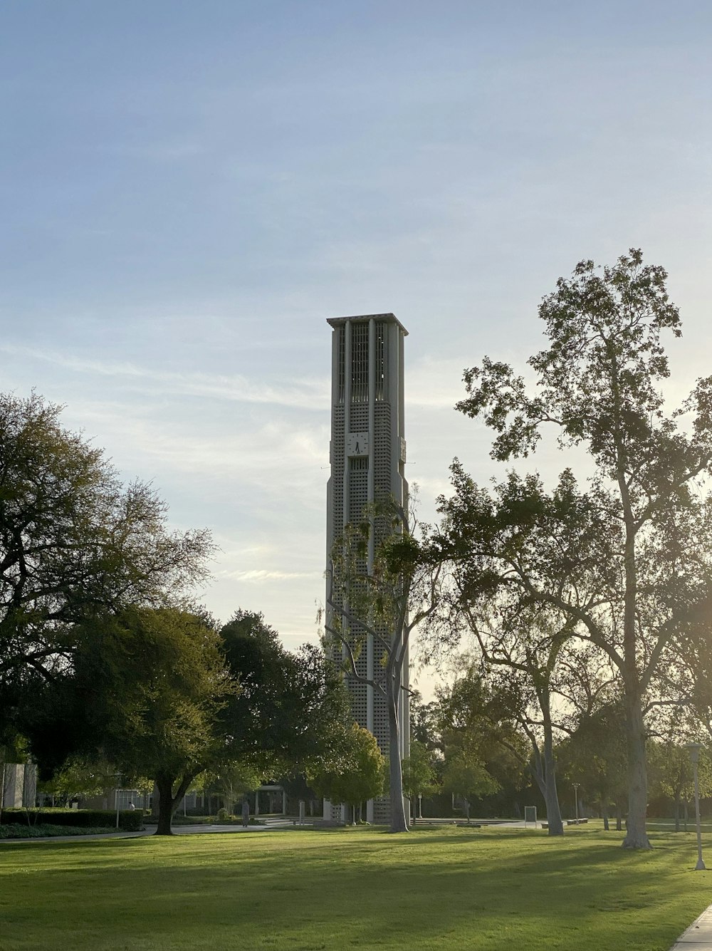 Una alta torre del reloj que se eleva sobre un exuberante parque verde