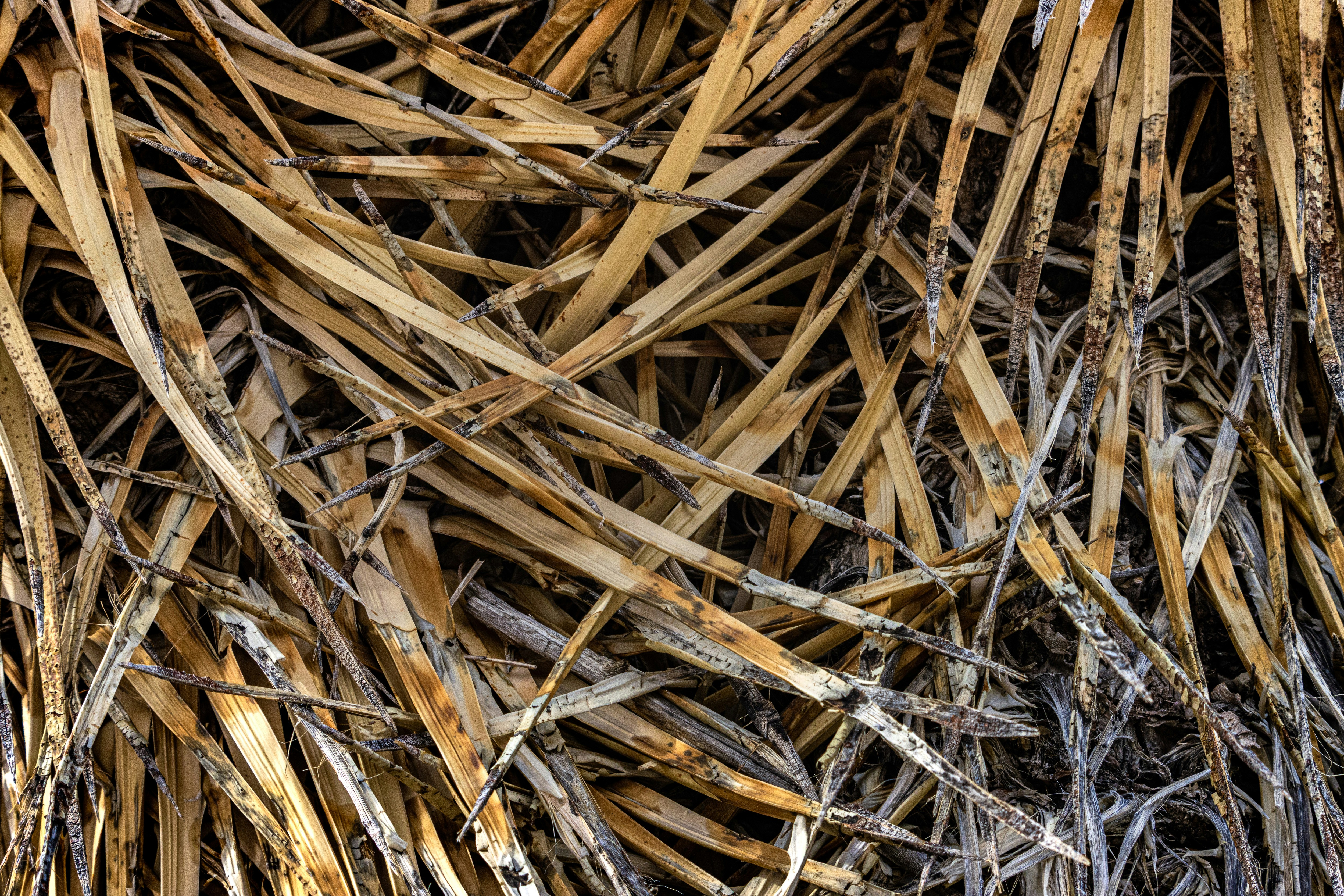 Photo by rs2photography