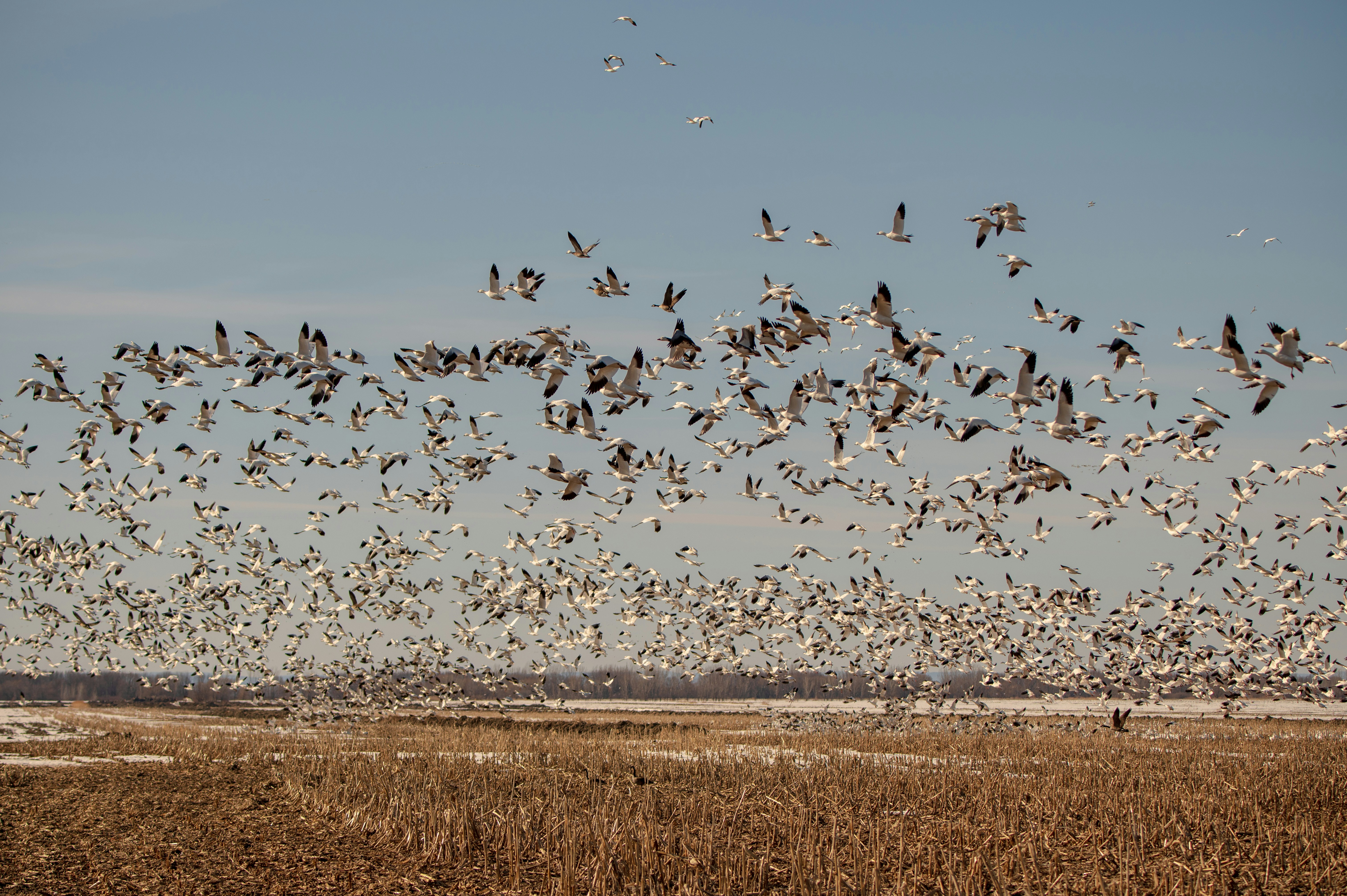 Photo by add_rien_20