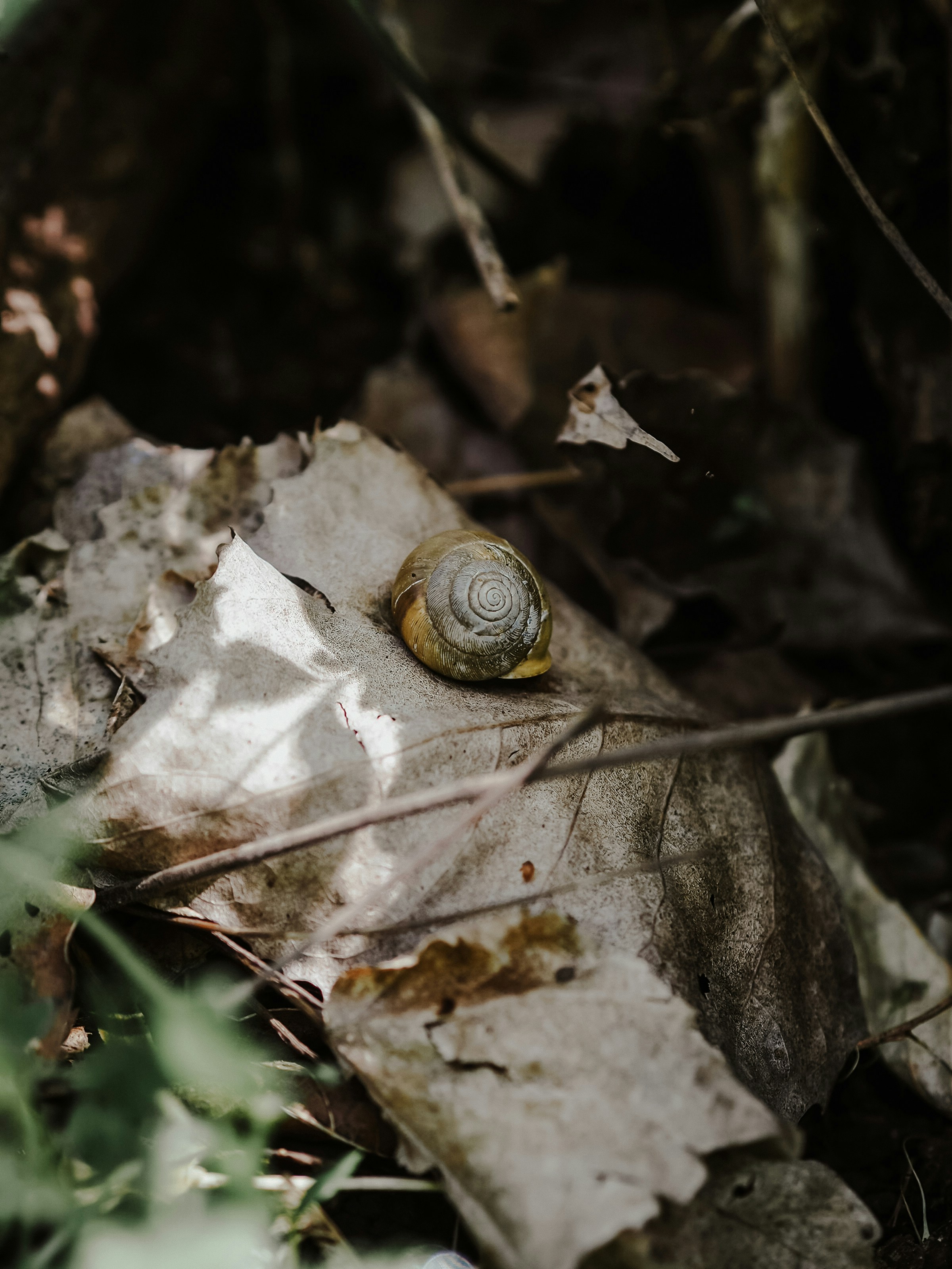 Photo by fieldworkframes