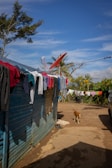 A rural setting with a blue wooden house on the left side, featuring various clothes hanging on lines attached to the structure and extending across the yard. A red satellite dish is mounted on the roof. A brown dog walks along a dirt path in the foreground. In the background, there are lush green trees and plants, and a clear blue sky overhead.