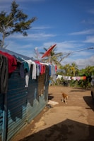 A rural setting with a blue wooden house on the left side, featuring various clothes hanging on lines attached to the structure and extending across the yard. A red satellite dish is mounted on the roof. A brown dog walks along a dirt path in the foreground. In the background, there are lush green trees and plants, and a clear blue sky overhead.