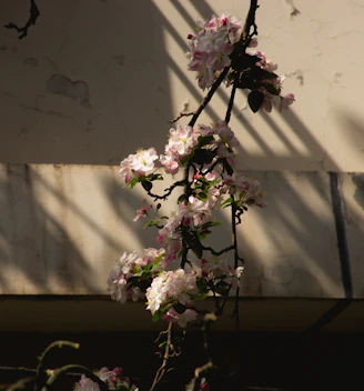 A cozy nook transformed with blush pink floral wallpaper, sunlight casting gentle shadows on the textured surface.