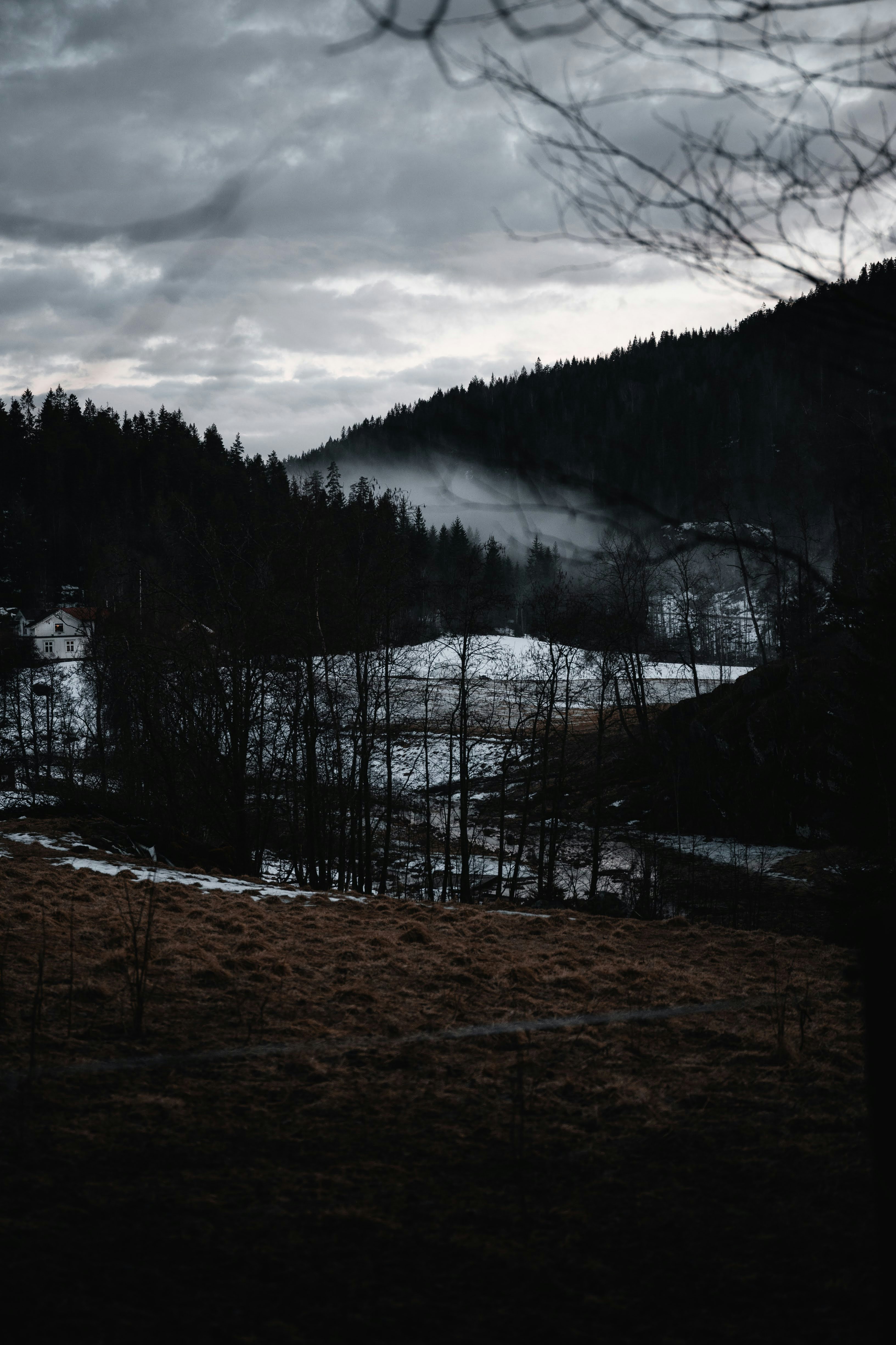 a snow covered field with a forest in the background