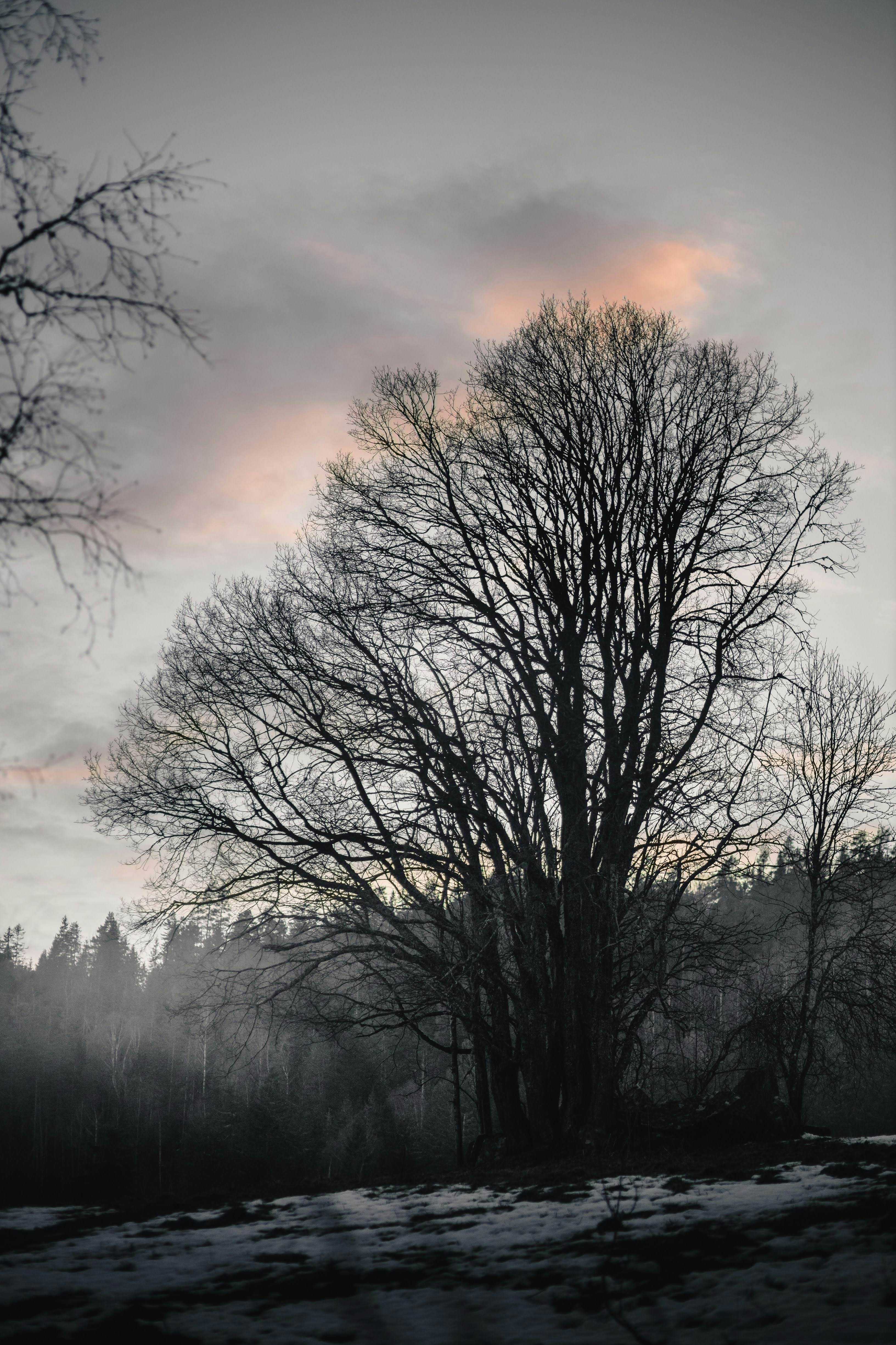 Photo by emil_karlsen