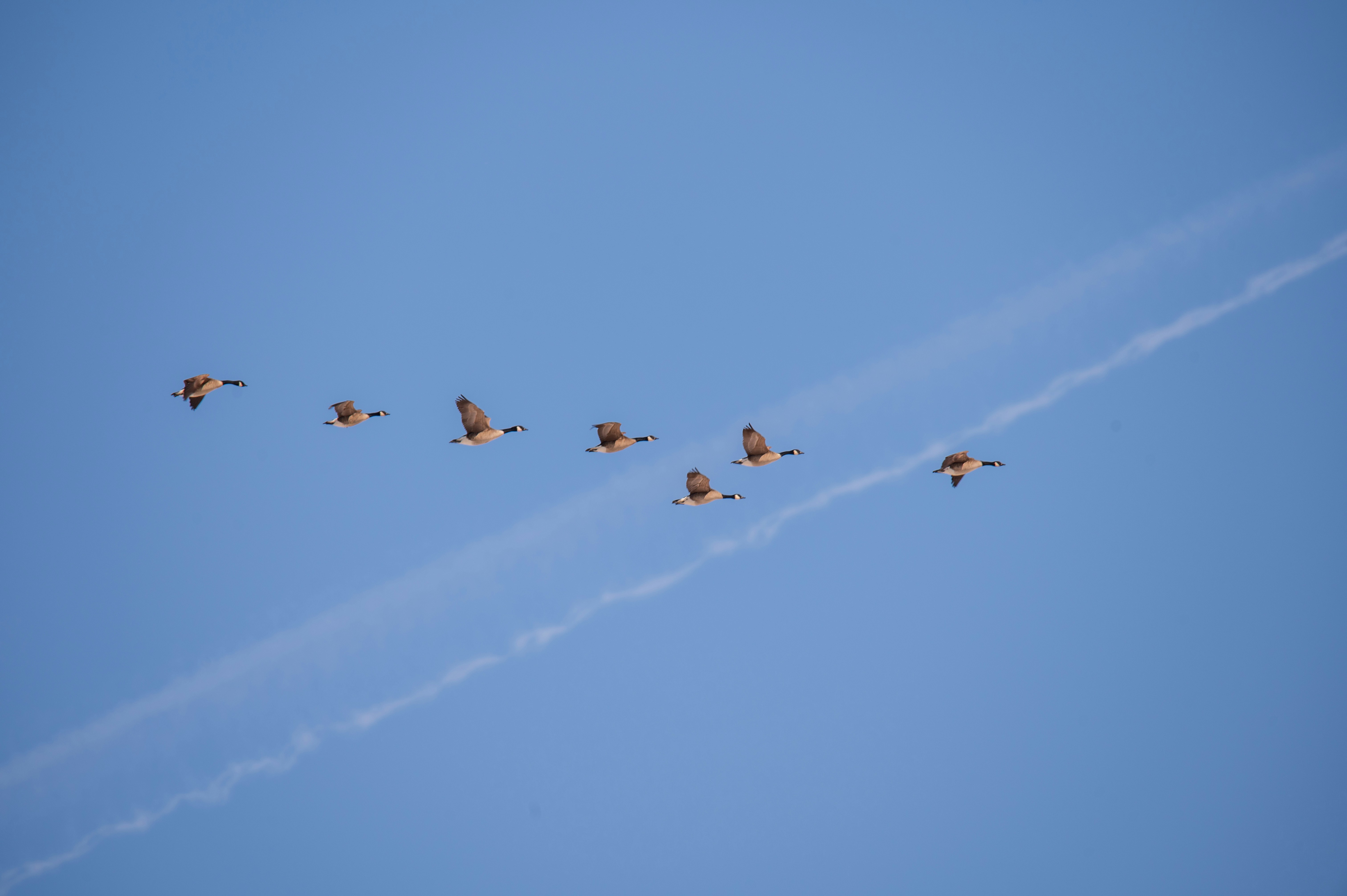 Photo by add_rien_20