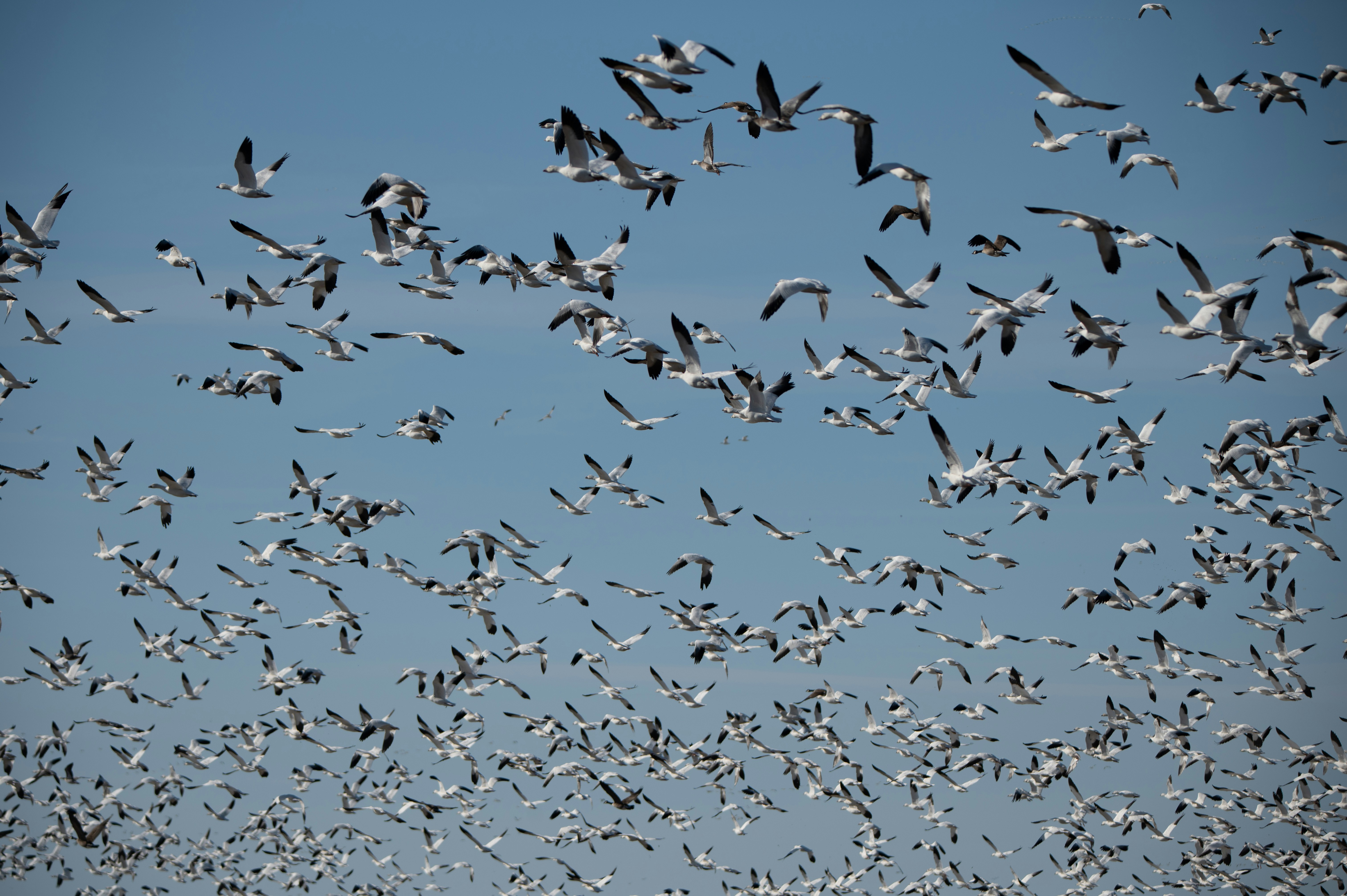 Photo by add_rien_20